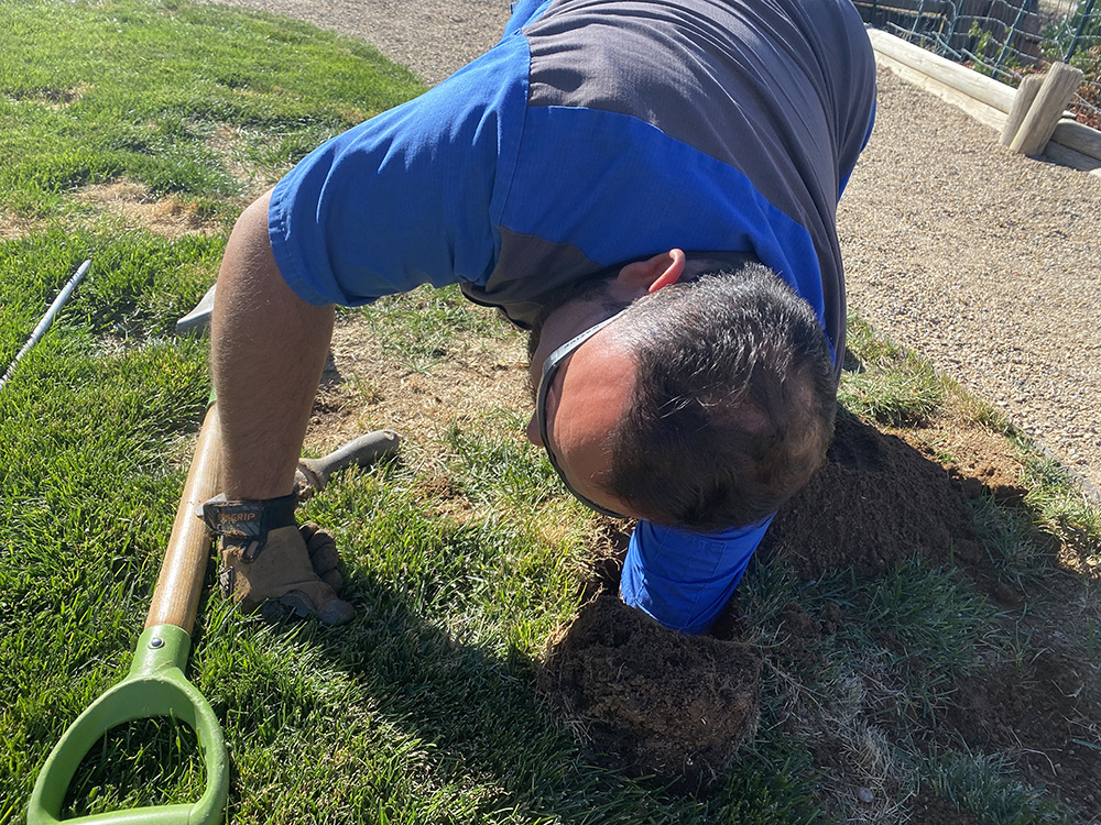 Gopher Removal - Gopher Guys, LLC